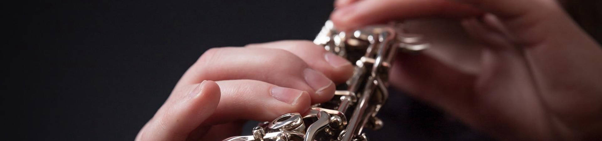 Startseite Header Oboe Hände